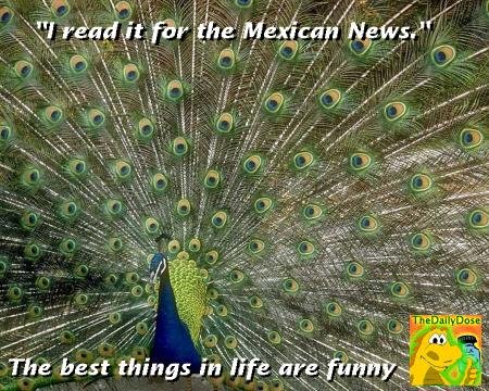 Peacock Endorses The Daily Dose