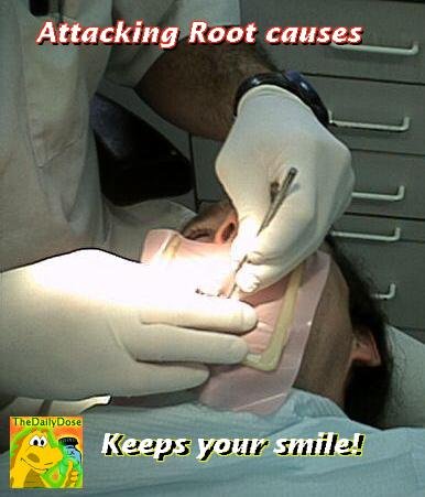 Attacking Root Canal Causes Endorsement For The Daily Dose