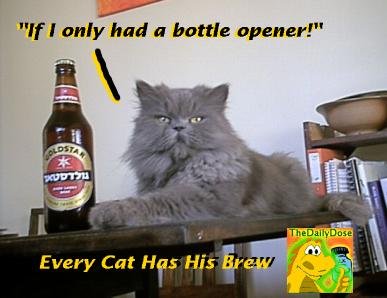 Rejected Goldstar Ad Toulouse Has His Beer Rejected Goldstar Ad Toulouse Has His Beer