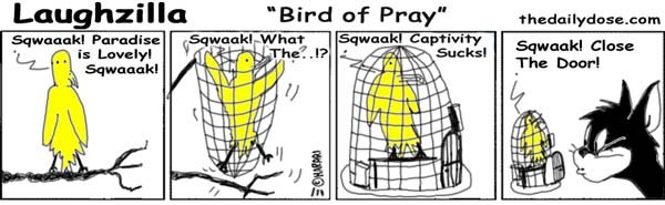 Bird Of Pray Bird Of Pray