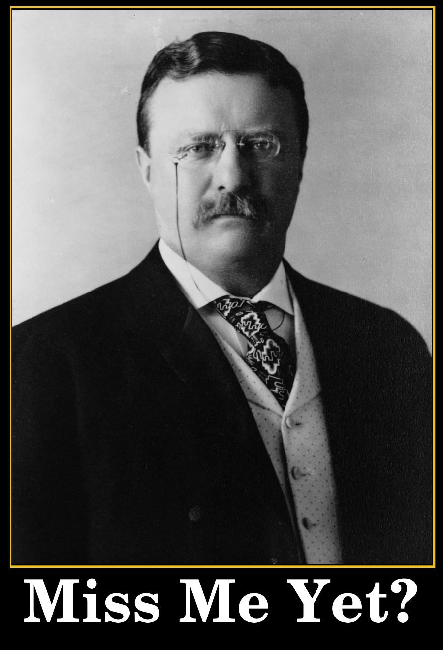 Occupy Silhouette Horror Shadows